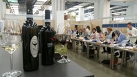 SannioDOP al Salone del Gusto Terra Madre Torino - IMG_1311.JPG